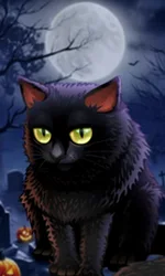Spooky Halloween